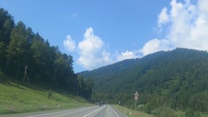 На пути к Семинскому перевалу. Республика Алтай. 2025 год