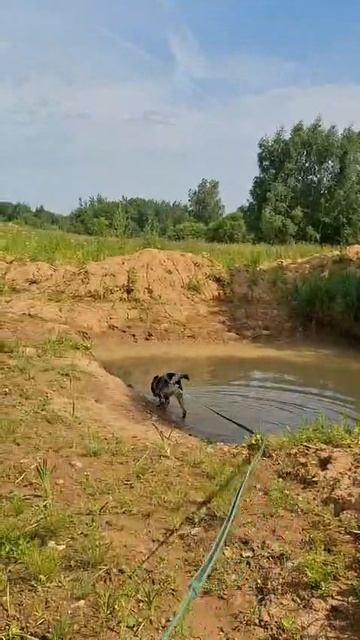 rutube.ru