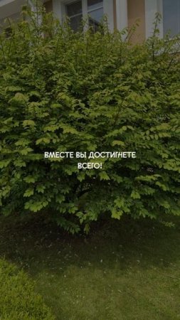 Мечтайте, ставьте цели, стройте планы на будущее, поддерживайте…