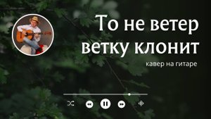 То не ветер ветку клонит (кавер на гитаре)