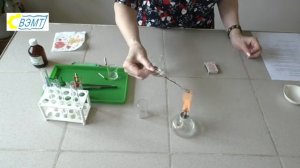 Лабораторная работа 1