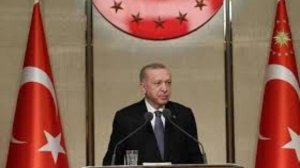 Эрдоган выступил с заявлением о необходимости признания Турецкой Республики Северного Кипра мировым