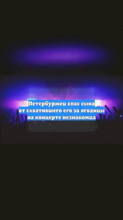Петербуржец спас сына от схватившего его за ягодицы на концерте незнакомца