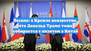 Песков: в Кремле неизвестно, что Дональд Трамп тоже собирается с визитом в Китай