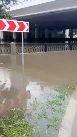 Под Ростокинским мостом, Москва, Россия, 2025