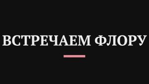 Винкс битва блумикс, Пустынные дюны, полное прохождение