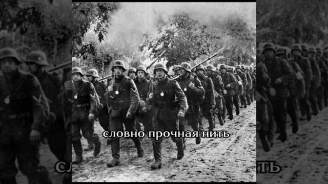 Артеева Анастасия