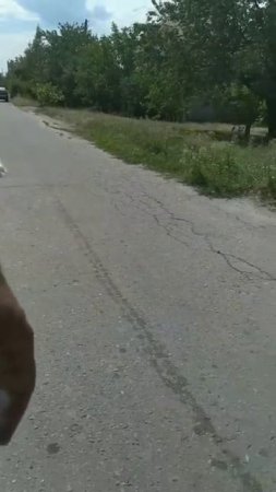 Лиза,команды в движении