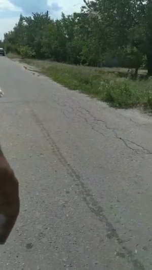 Лиза,команды в движении