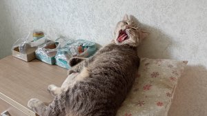 уютная жизнь в деревне