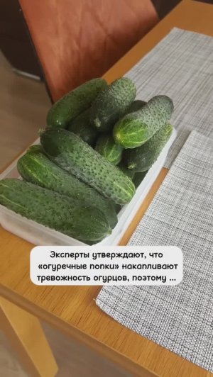 Утилизация «огуречных попок», как ключ к счастливой жизни!