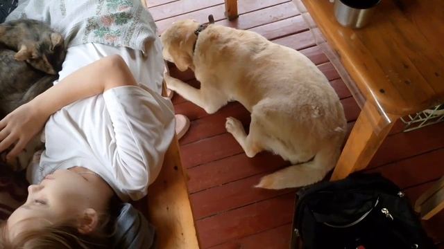 Отдых. смотреть онлайн