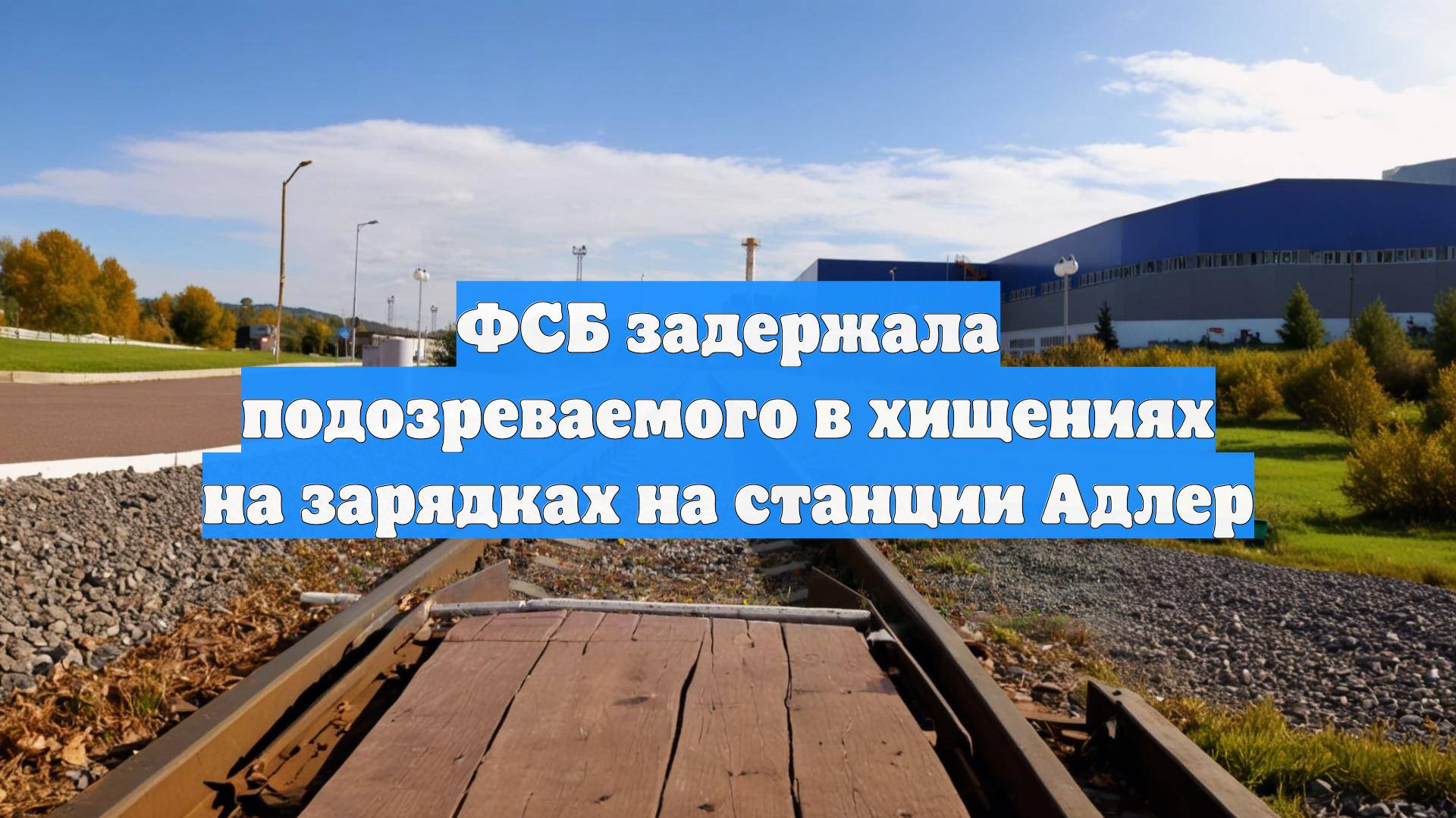 ФСБ задержала подозреваемого в хищениях на зарядках на станции Адлер