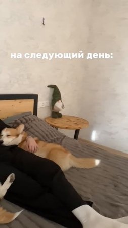 @mix_shorts_