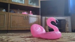 кастиной убийца 1 сезон 2 серия
