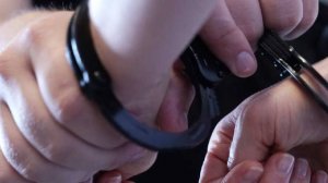 Муж арестованной за комментарий в соцсети россиянки объяснил причины ее поступка