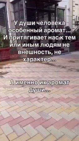 Нет цены