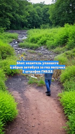 Shot: водитель упавшего в обрыв автобуса за год получил 7 штрафов ГИБДД