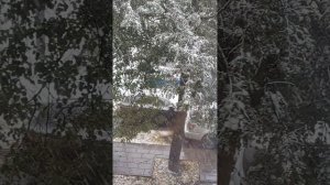 страницы памяти 14 октября 2024 года