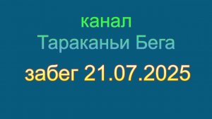 Тараканьи бега