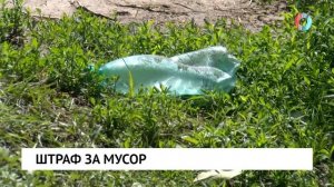 Штраф за мусор
