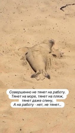 Тянет на пляж