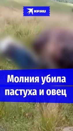 Молния убила пастуха, его коня, собаку и овец в Карачаево-Черкесии