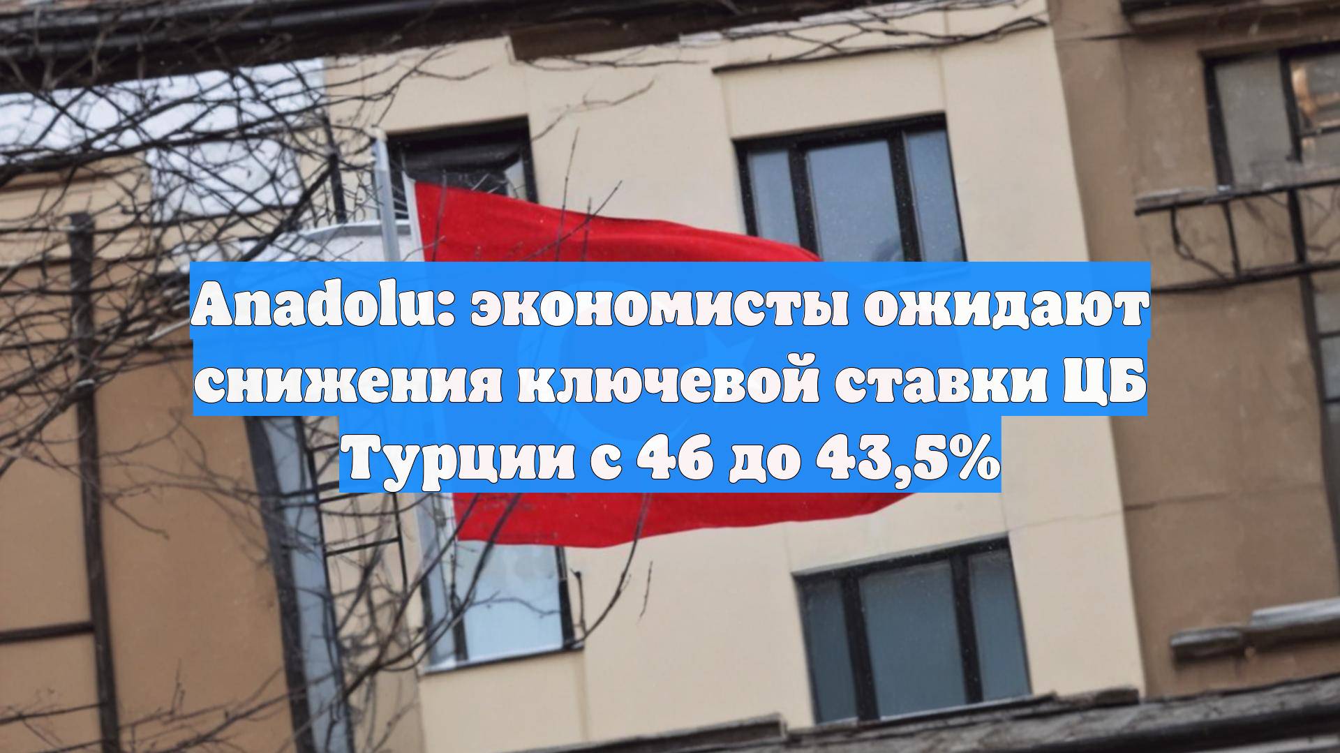Anadolu: экономисты ожидают снижения ключевой ставки ЦБ Турции с 46 до 43,5%