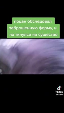что ты такое