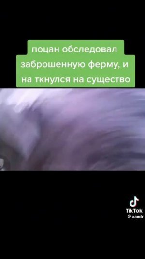 что ты такое