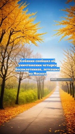 Собянин сообщил об уничтожении четырех беспилотников, летевших на Москву
