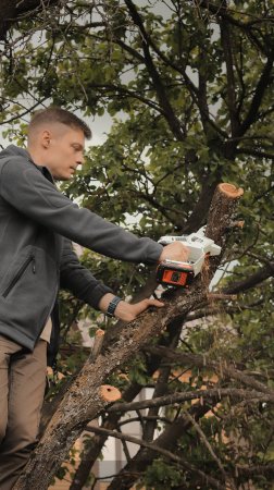 Пила цепная аккумуляторная PATRIOT CS 215 UES
