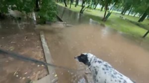 немного подтопило москву