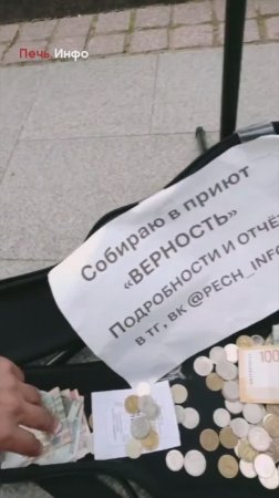 Покупка айфона или помощь животным: на что смоляне готовы отдать деньги?