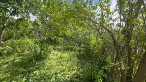 Центральный переулок, 10