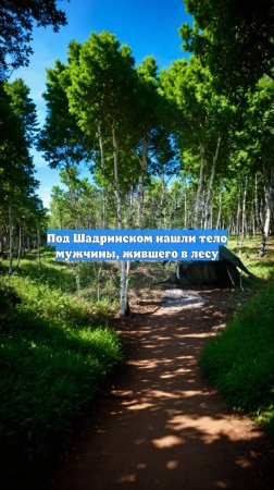 Под Шадринском нашли тело мужчины, жившего в лесу
