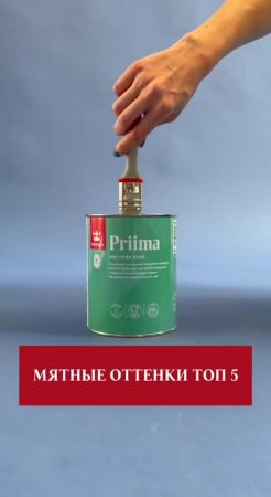 Мятные оттенки в интерьере