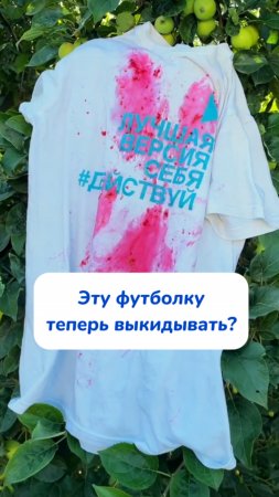 Кислородный очиститель BRANDFREE

Артикул на WB #93550775
Ozon #655295171

Очищает пятна