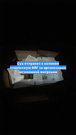 Суд отправил в колонию этническую ОПГ за организацию незаконной миграции