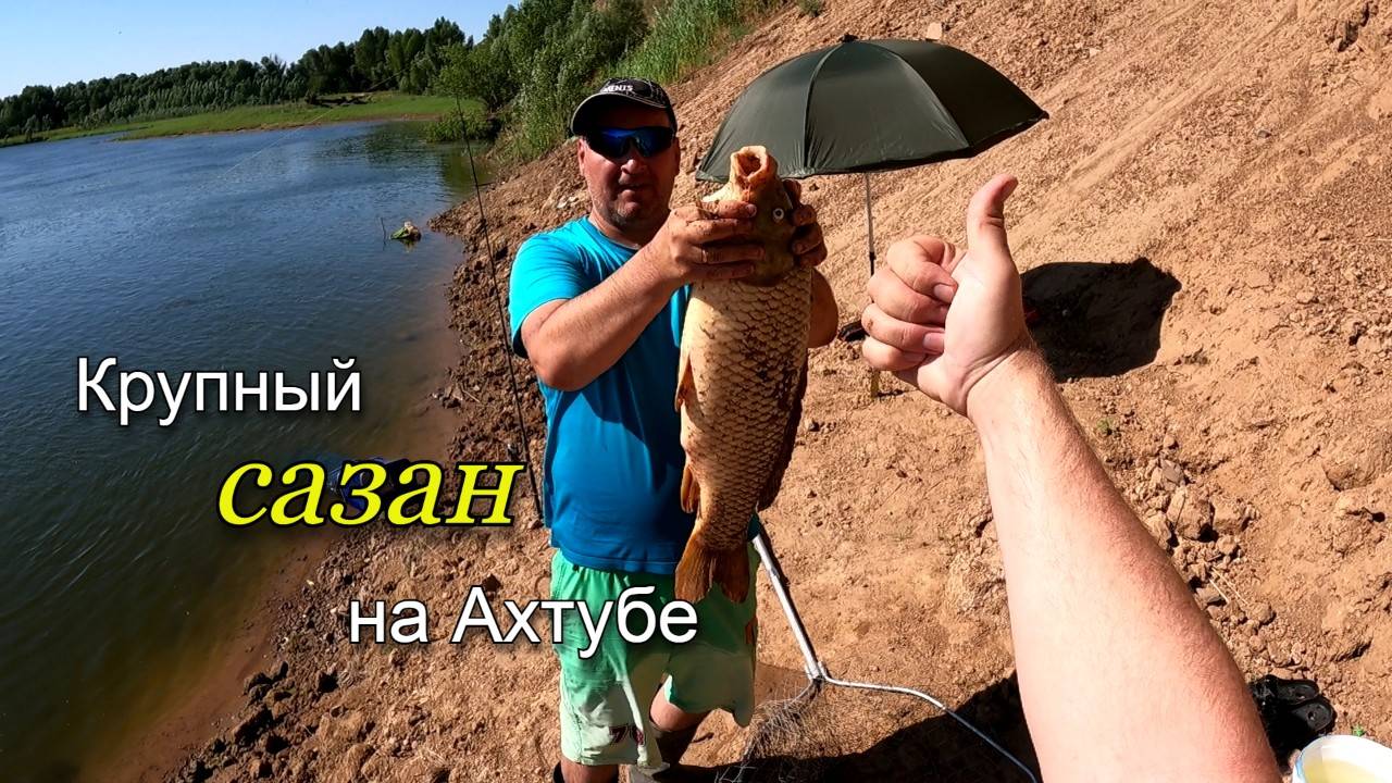 Ловля сазана в жаркий июльский день на реке Ахтуба. В улове крупный сазан весом 5100