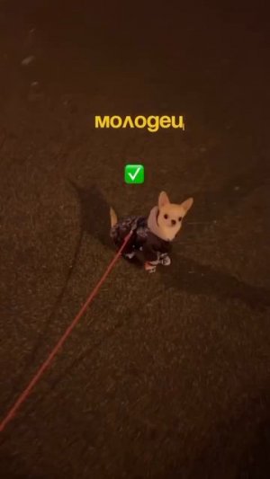 Умничка 😇😅