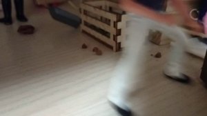 Типы лошадей шляйх