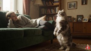 Пришла домой - создано Ai