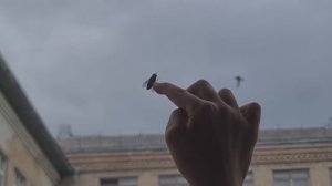 Очищяем беЗкрайний сад. Купила газовый балон и уехали в Ярославль