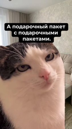 1000056312.mp4