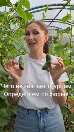 Определяем нехватку питания по форме огурца