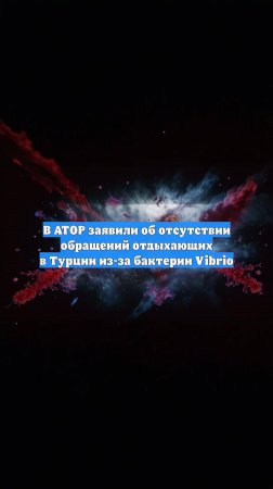 В АТОР заявили об отсутствии обращений отдыхающих в Турции из-за бактерии Vibrio