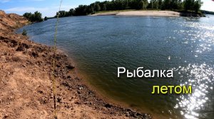 Ловля сазана летом на донки в жаркий день