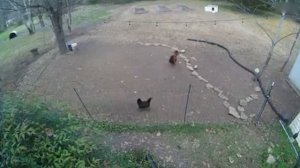 Животные-Герои, Которые Спасли Жизни Людей.
#Познавательно
#Развлекательно