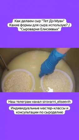 Как делаем сыр "Тет Дэ Муан" Какие формы для сыра использую? / "Сыроварня Елисеевых"